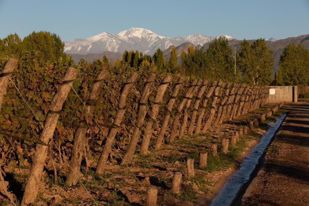 Bodega Durigutti Family Winemakers Villa Las Compuertas Dış mekan fotoğraf