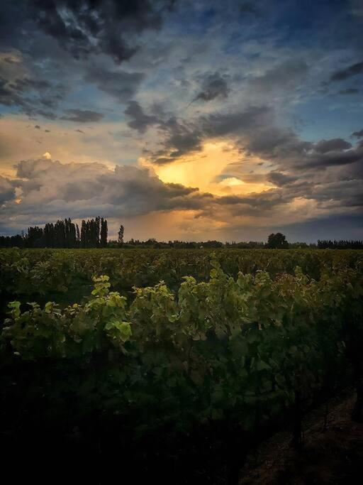 Bodega Durigutti Family Winemakers Villa Las Compuertas Dış mekan fotoğraf